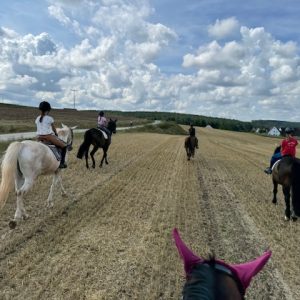 Ausritte - Januar 2026