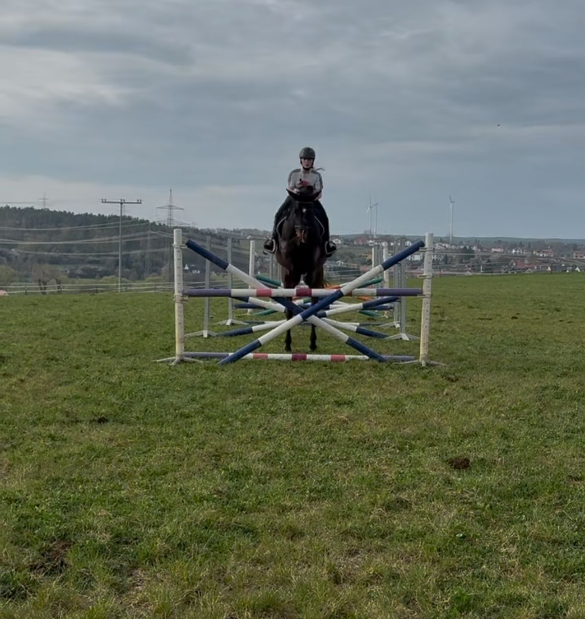 10er Karte Gruppenreitunterricht mit Schulpferd