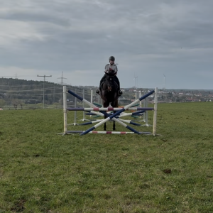 Cavaletti / Springkurs